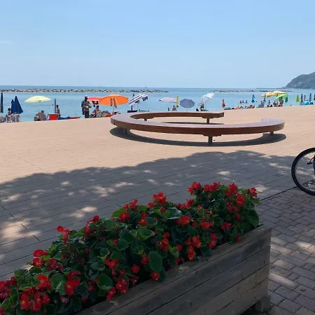 Riccio Di Mare San Bartolomeo Al Mare